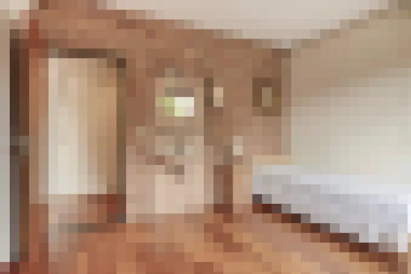 Hoge Morsweg 112 Leiden thumbnail 41