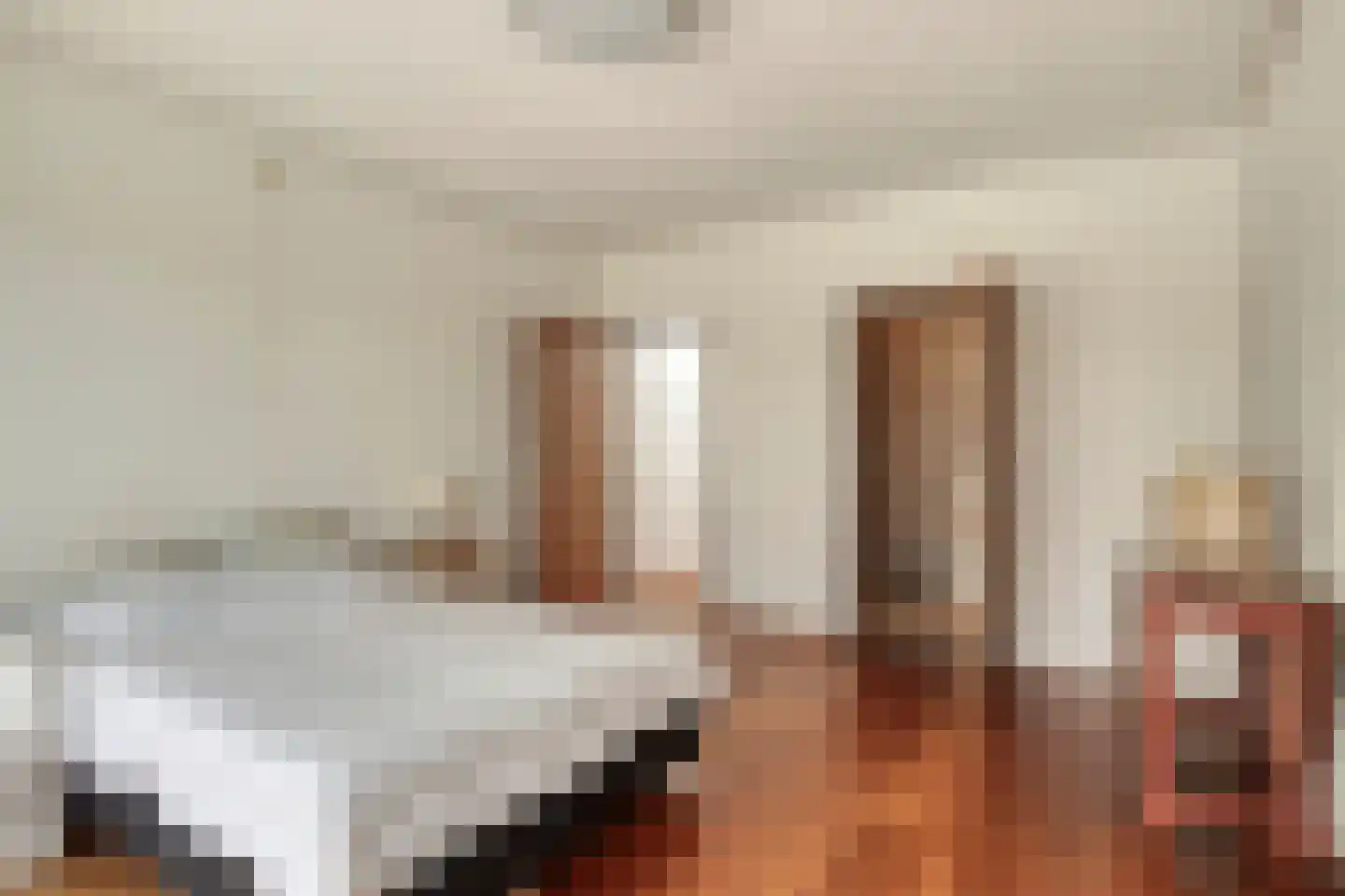 Hoge Morsweg 112 Leiden thumbnail 45