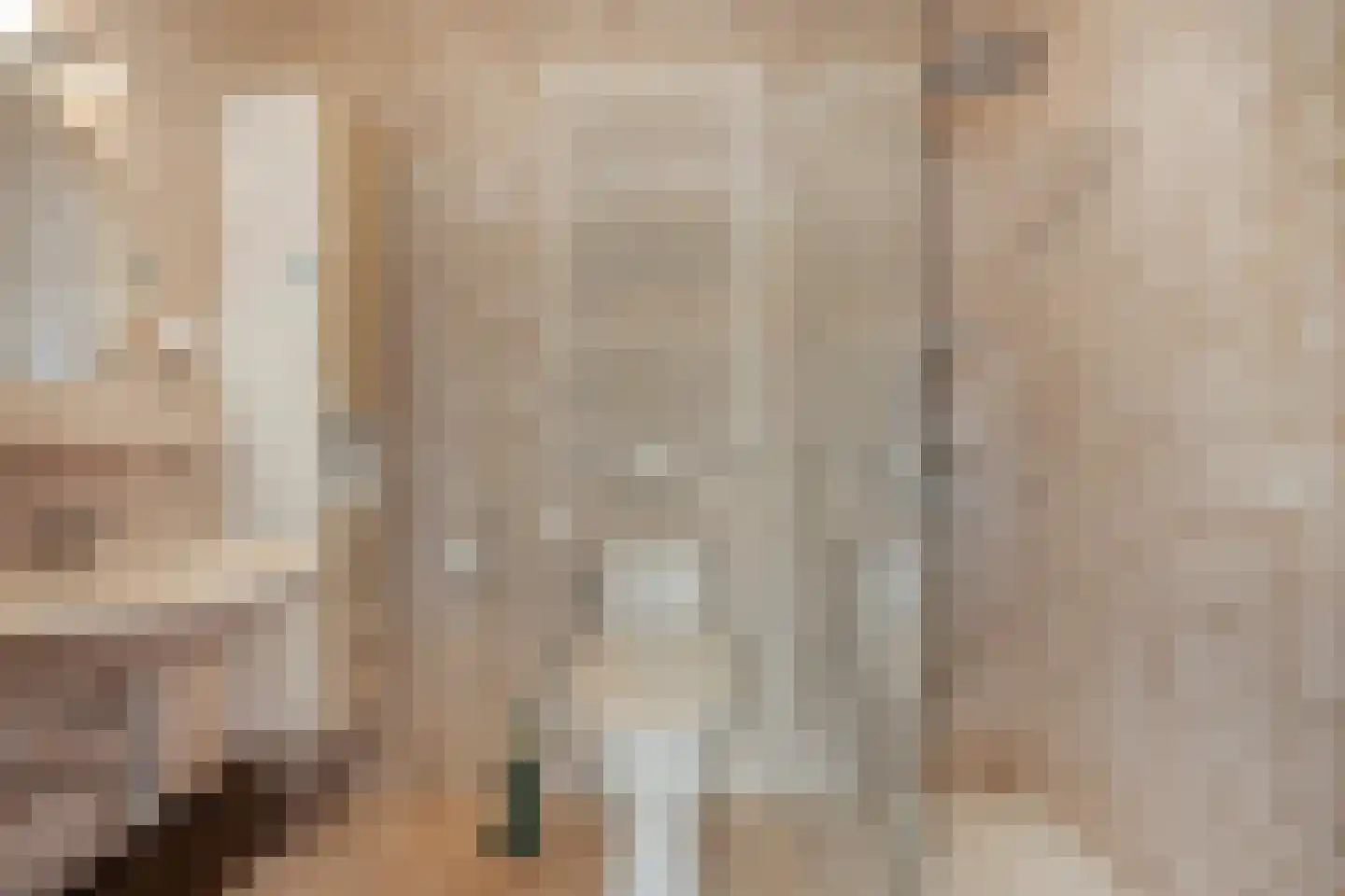Hoge Morsweg 112 Leiden thumbnail 46