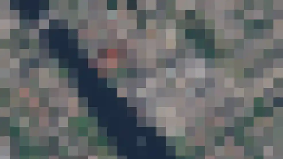 Hoge Morsweg 112 Leiden thumbnail 49
