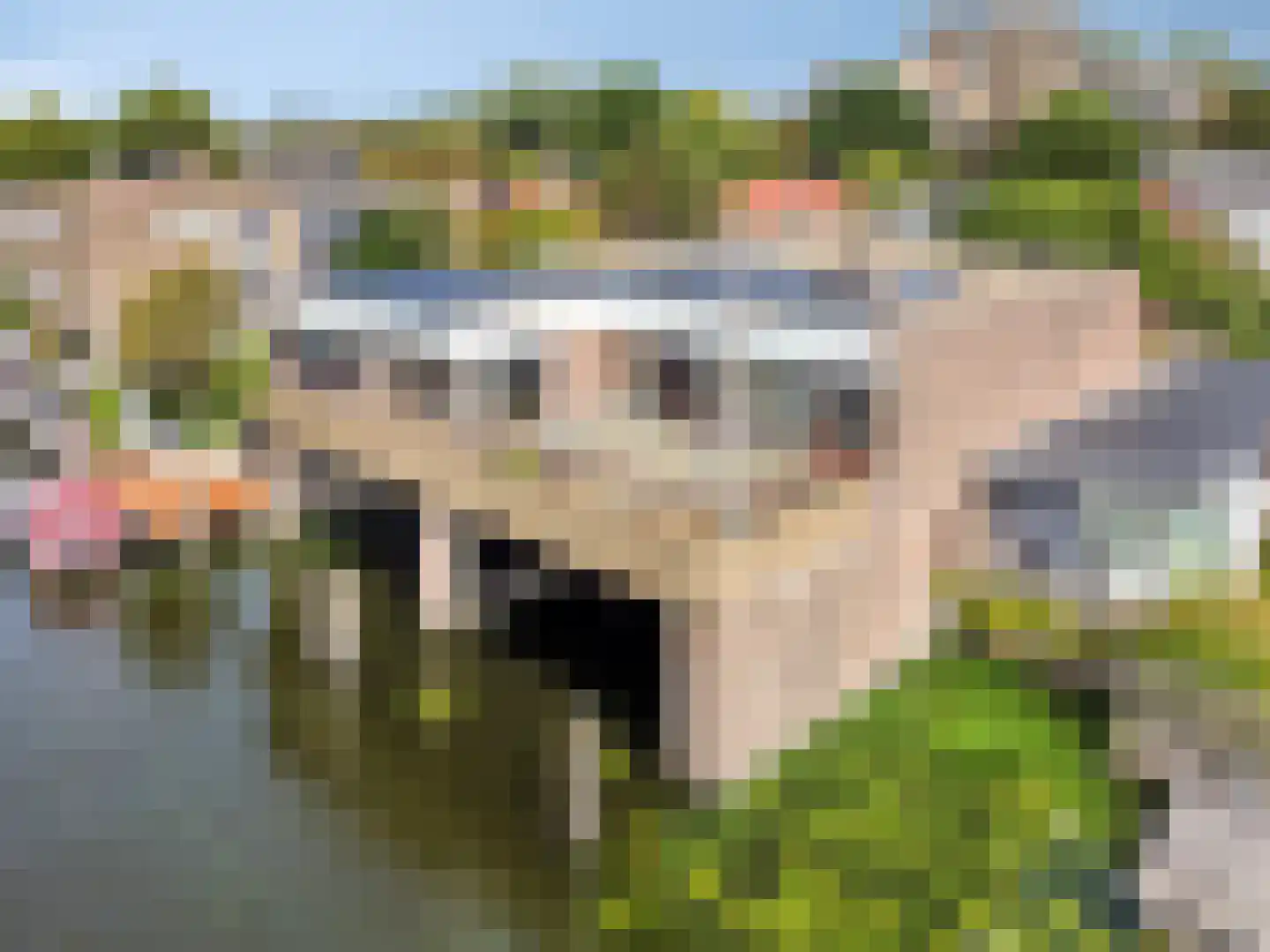 Hoge Morsweg 112 Leiden thumbnail 5