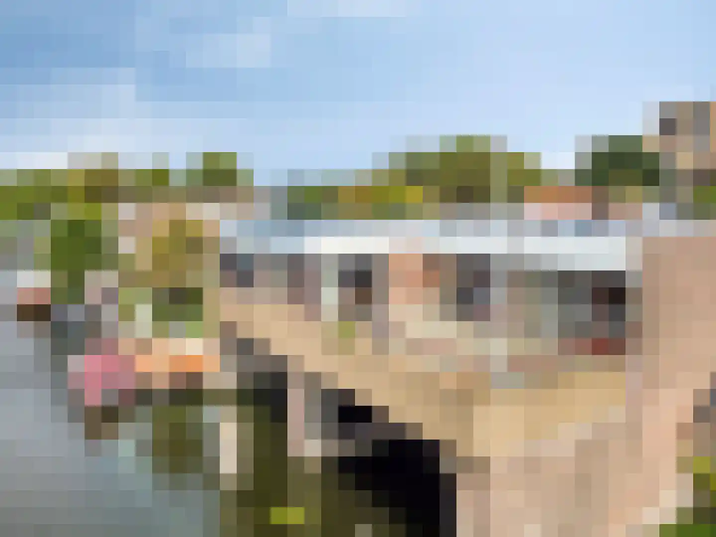 Hoge Morsweg 112 Leiden thumbnail 6