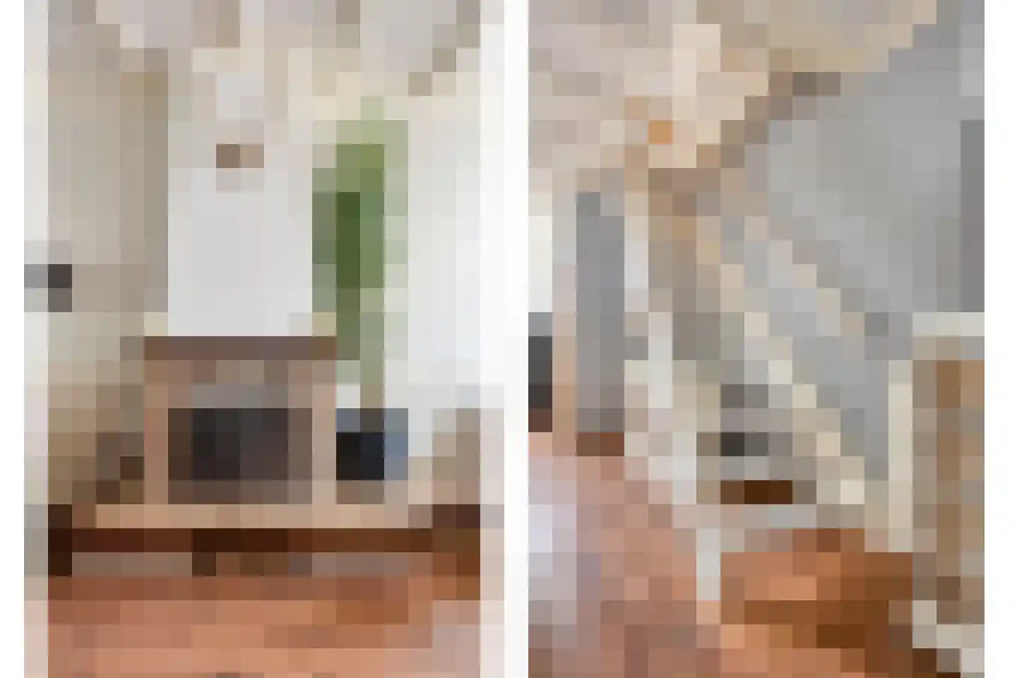 Hoge Morsweg 121 Leiden thumbnail 11