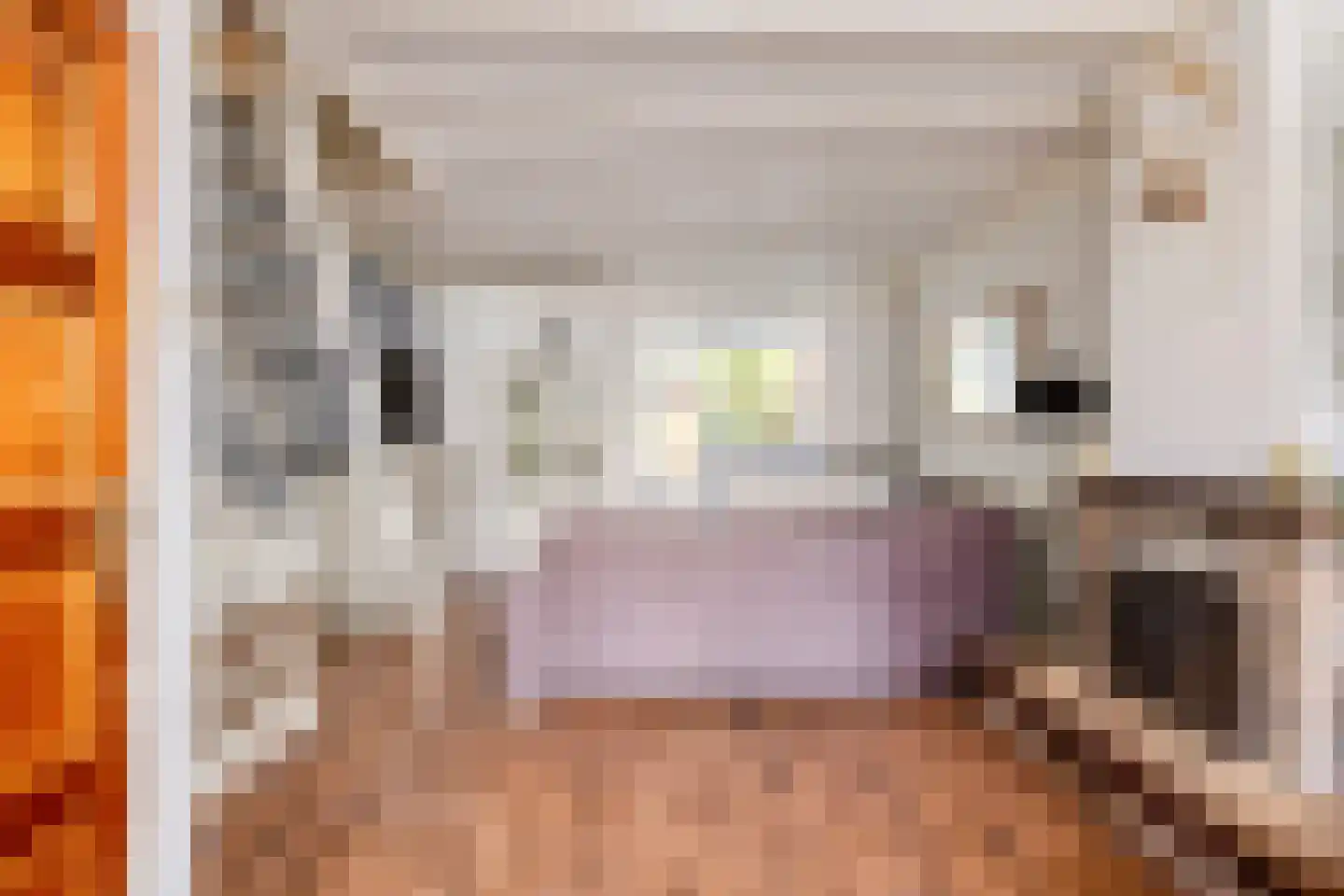Hoge Morsweg 121 Leiden thumbnail 14