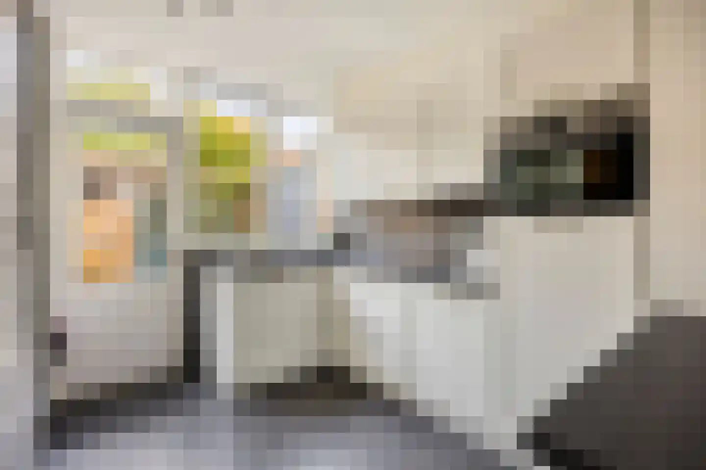 Hoge Morsweg 121 Leiden thumbnail 19