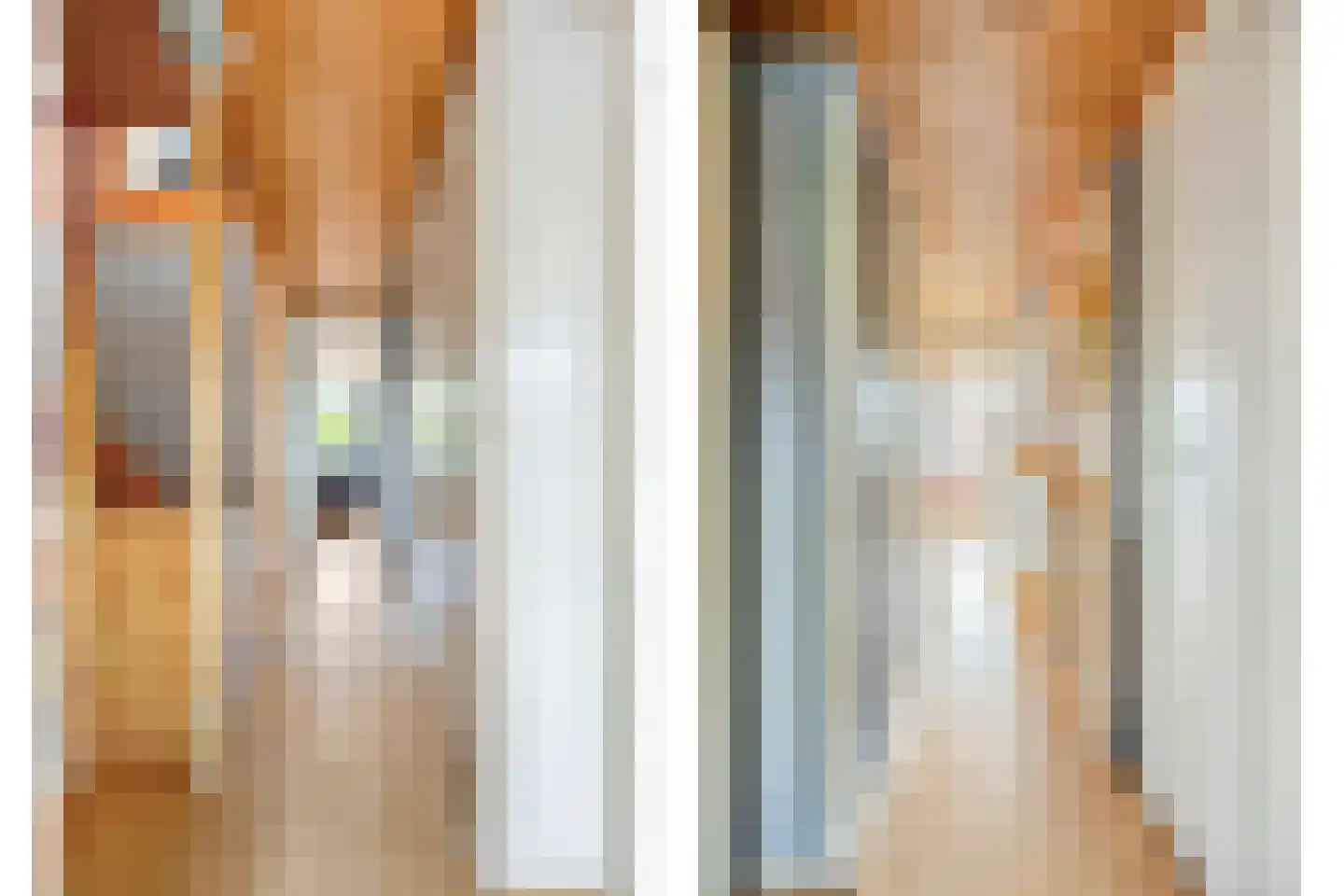 Hoge Morsweg 121 Leiden thumbnail 21