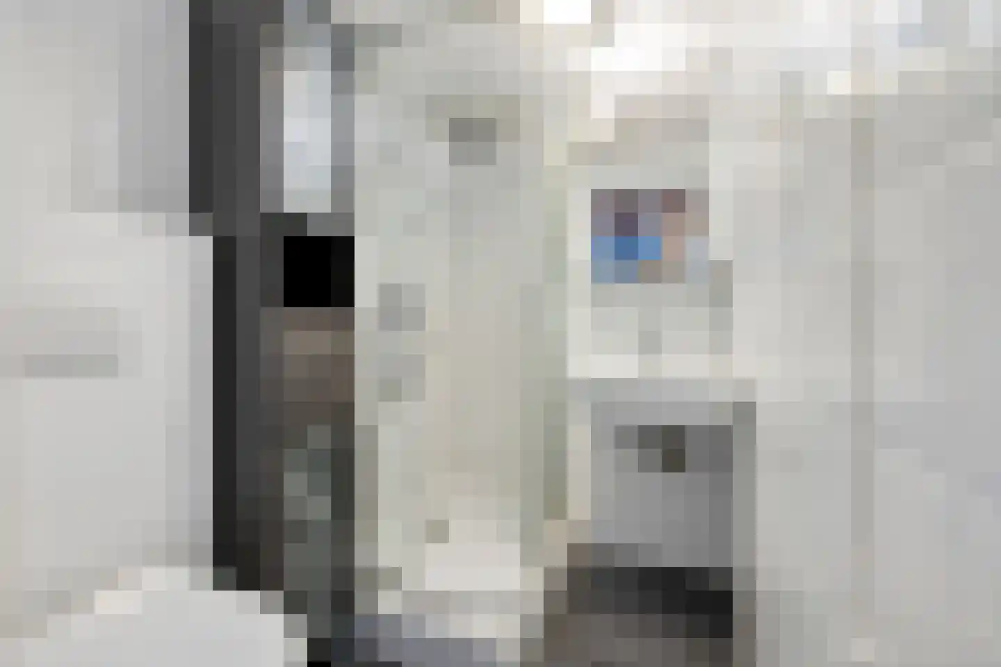 Hoge Morsweg 121 Leiden thumbnail 22