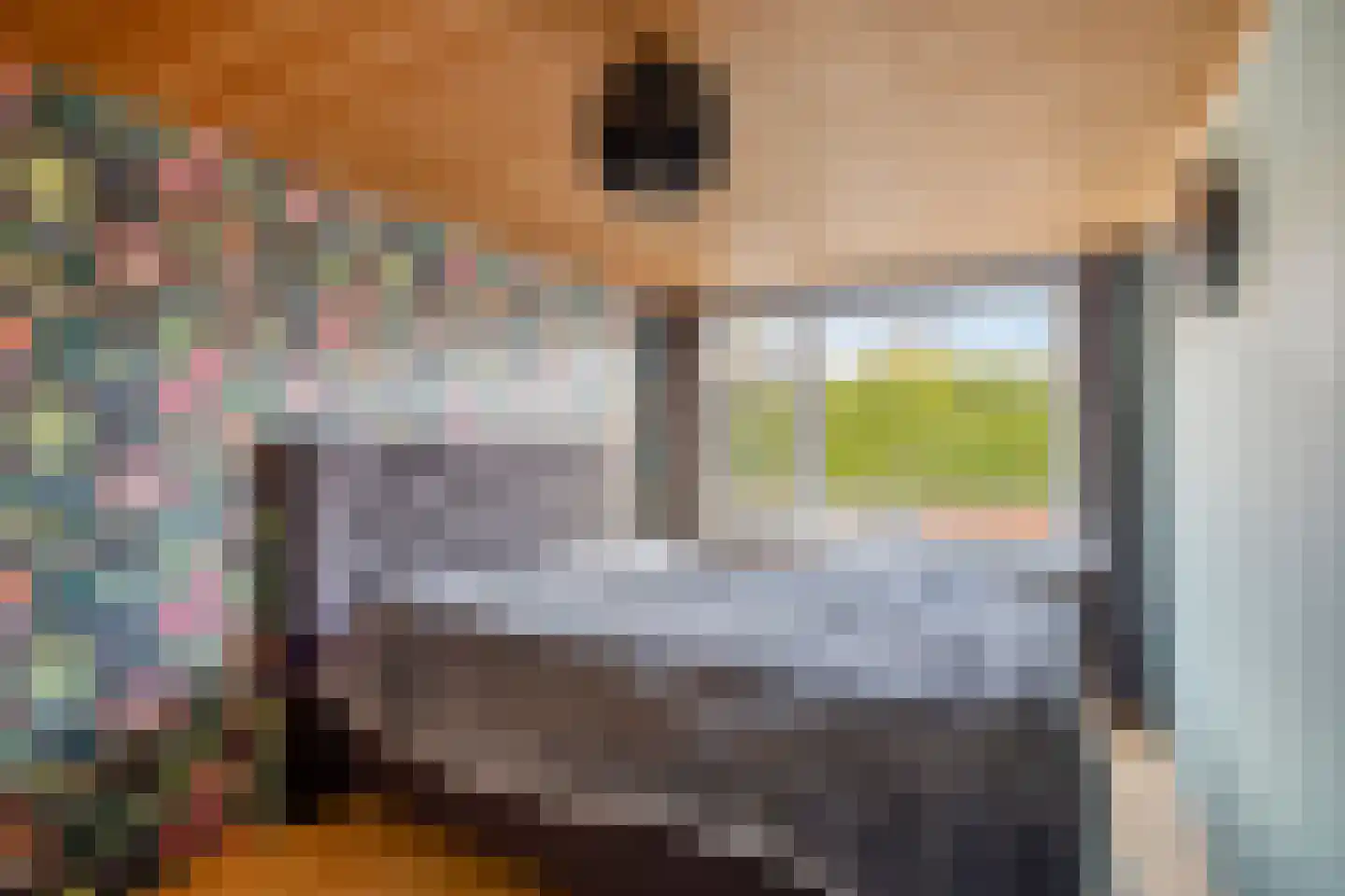 Hoge Morsweg 121 Leiden thumbnail 24