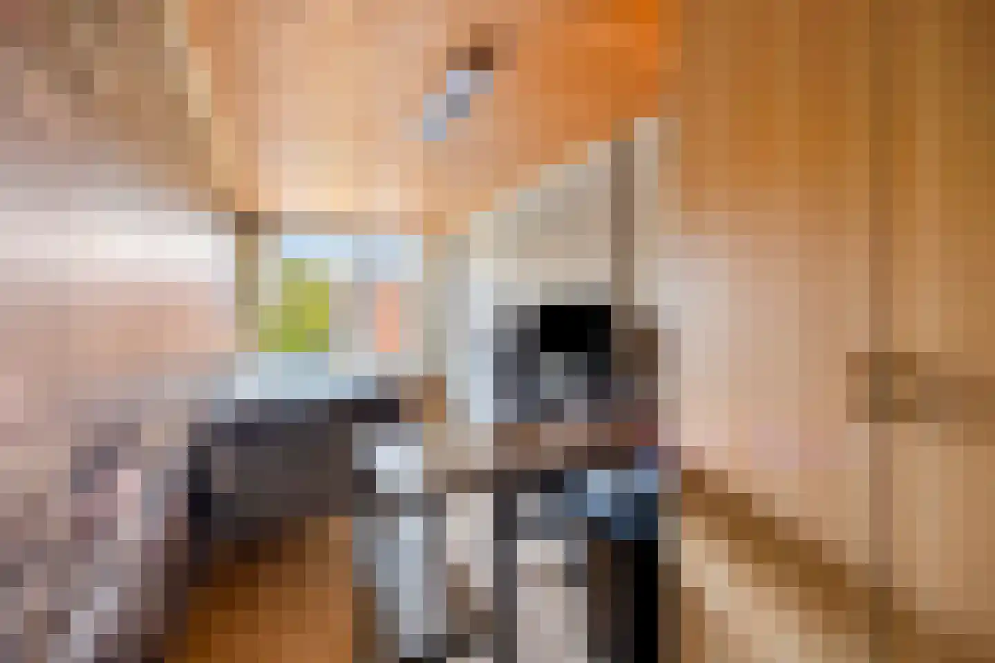 Hoge Morsweg 121 Leiden thumbnail 27