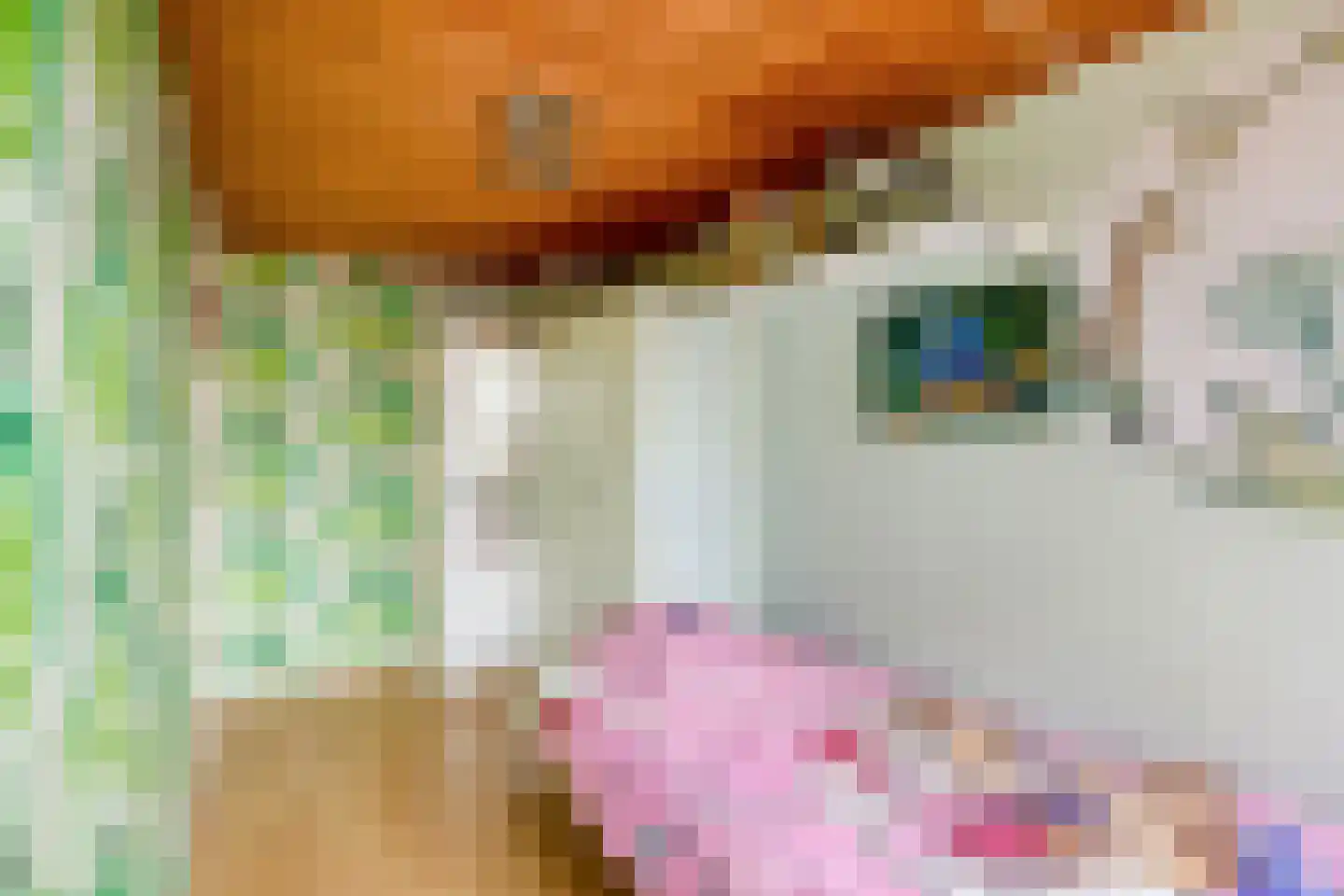 Hoge Morsweg 121 Leiden thumbnail 29
