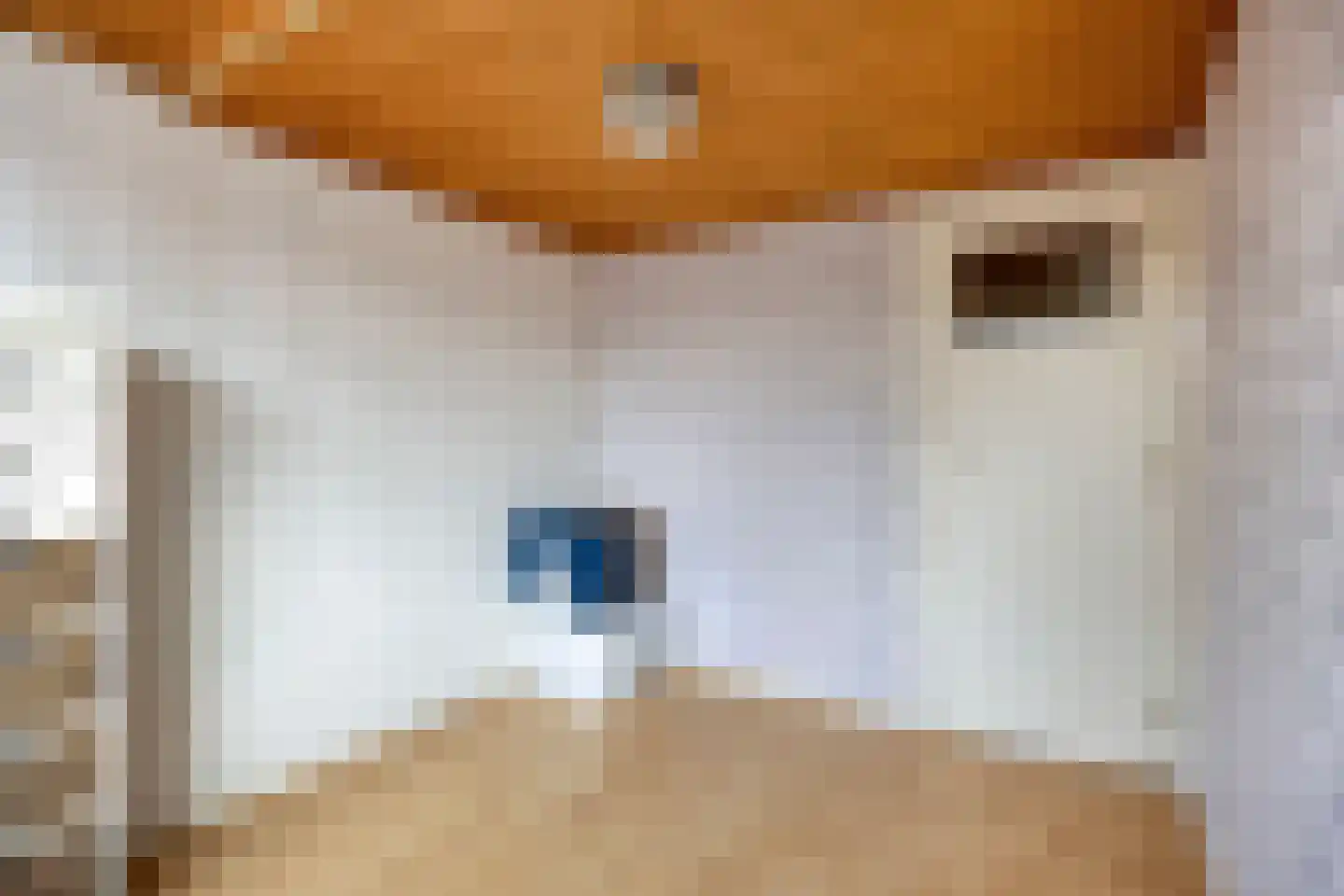 Hoge Morsweg 121 Leiden thumbnail 31