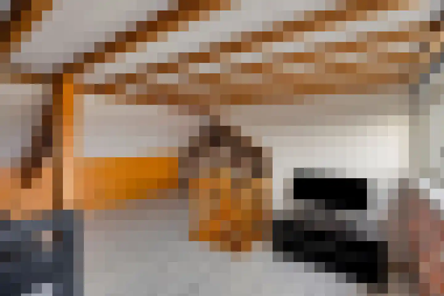 Hoge Morsweg 121 Leiden thumbnail 33