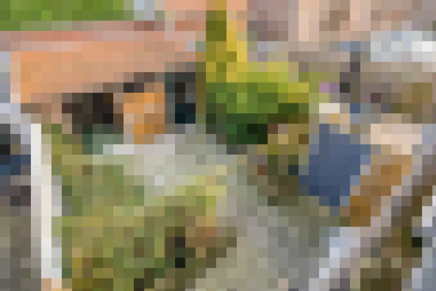 Hoge Morsweg 121 Leiden thumbnail 38
