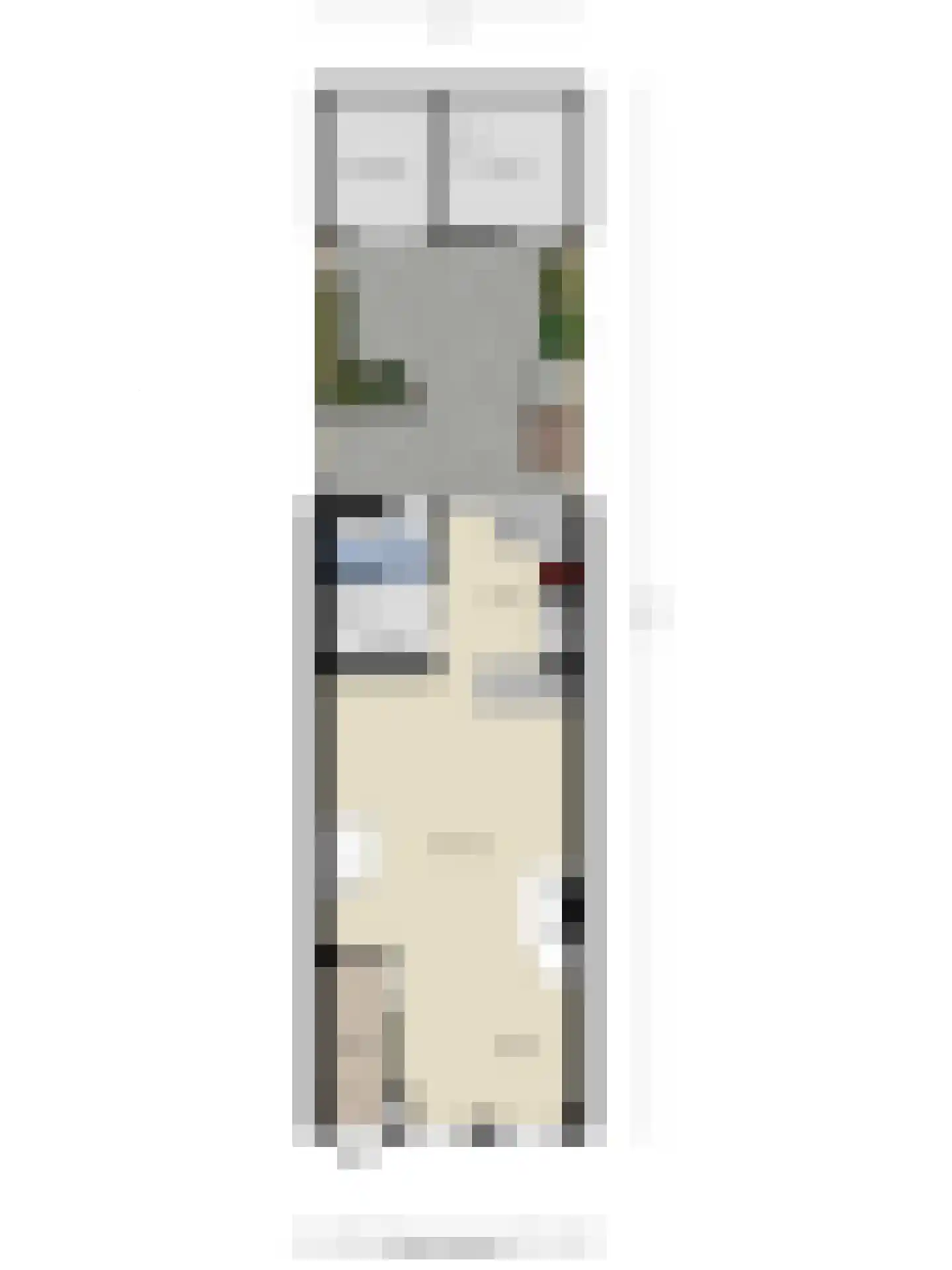 Hoge Morsweg 121 Leiden thumbnail 42