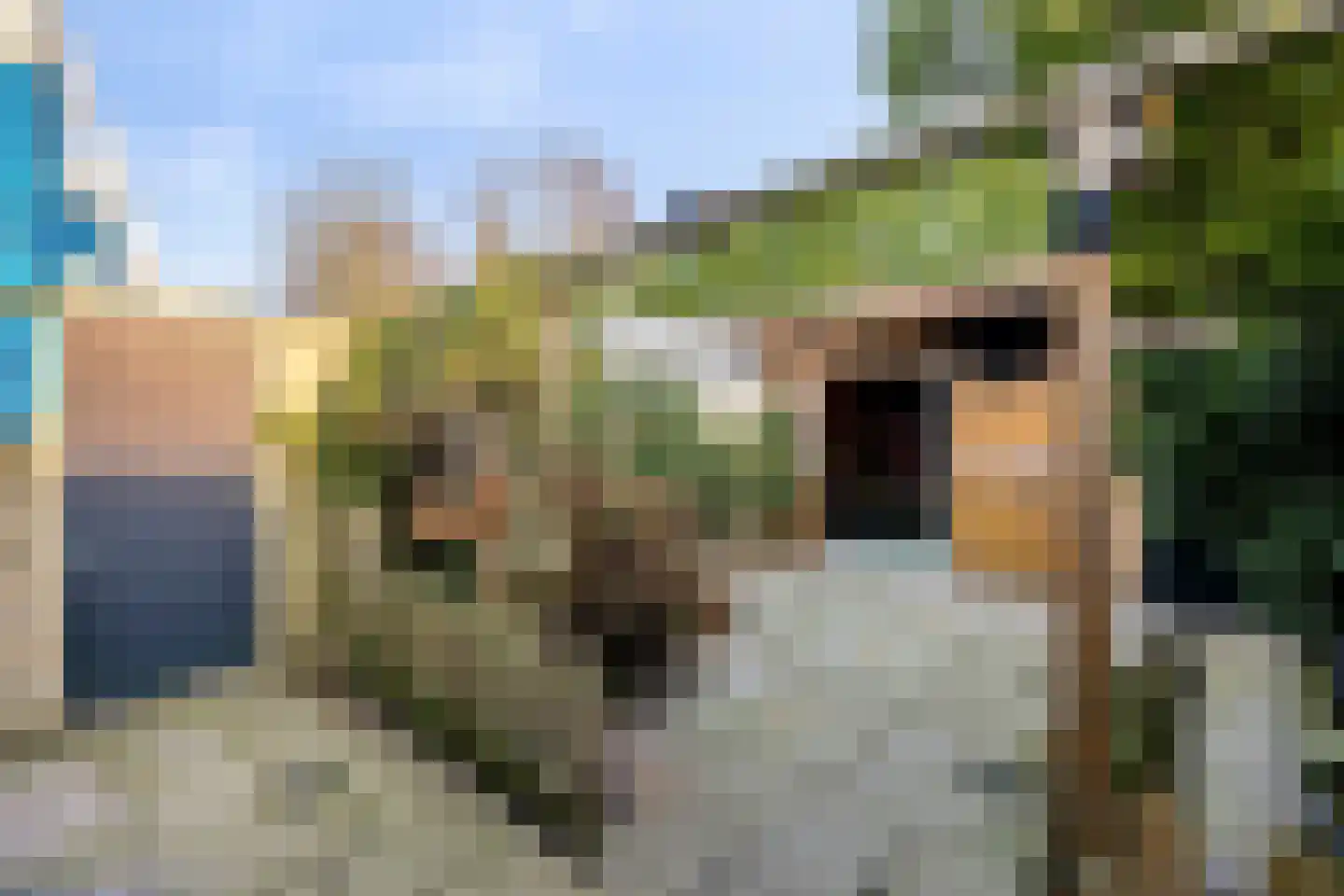 Hoge Morsweg 121 Leiden thumbnail 6