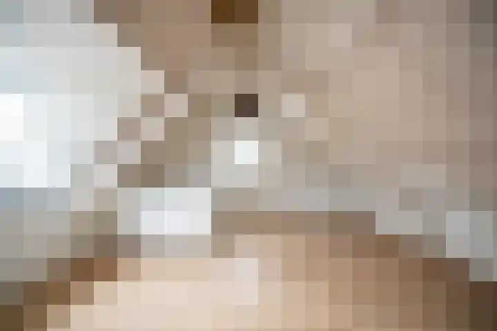 Hoge Morsweg 122 A Leiden thumbnail 15