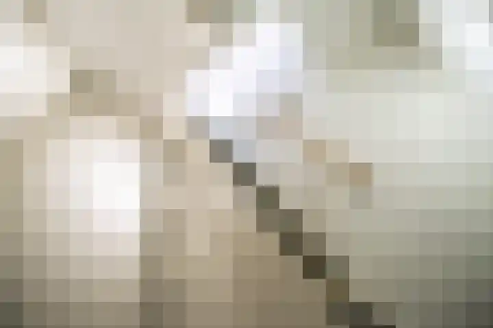 Hoge Morsweg 122 A Leiden thumbnail 18