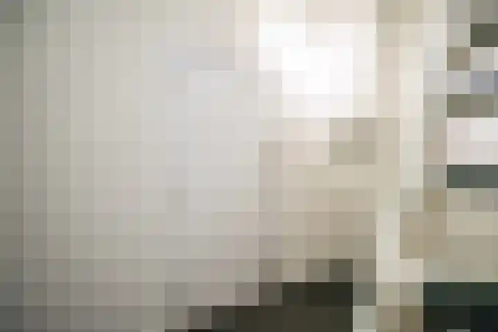 Hoge Morsweg 122 A Leiden thumbnail 19