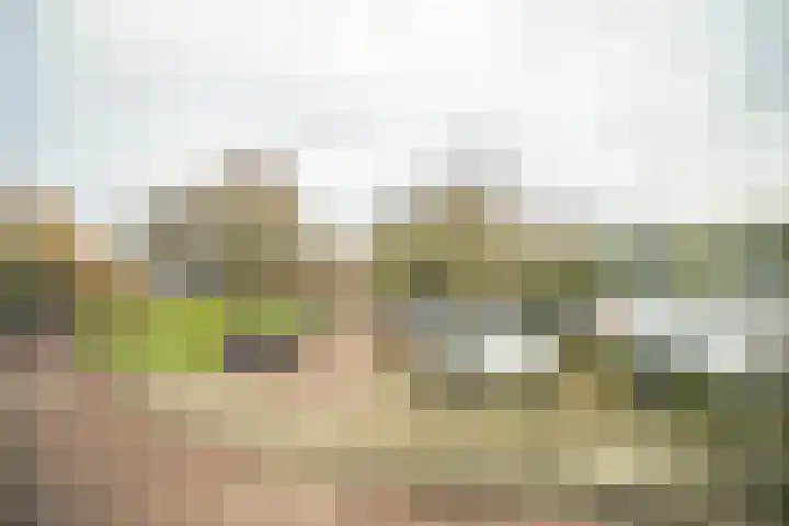 Hoge Morsweg 122 A Leiden thumbnail 6