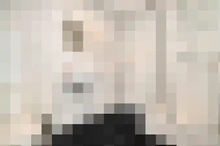 Hoge Morsweg 122 Leiden thumbnail 10