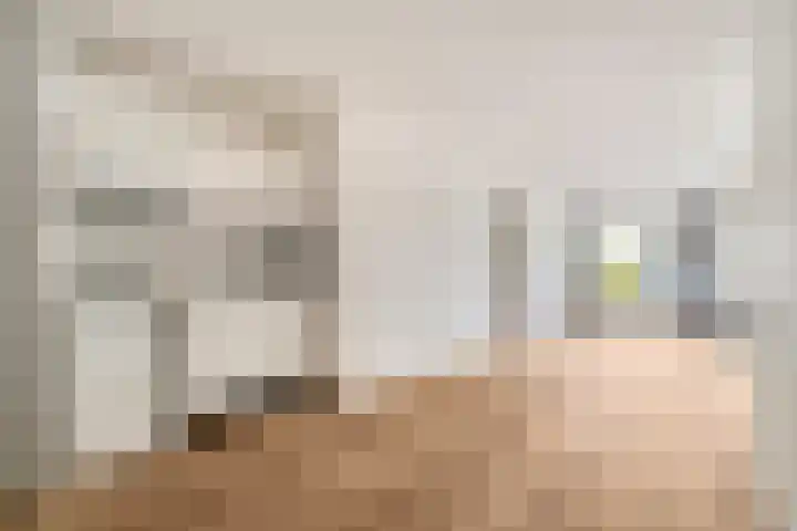 Hoge Morsweg 122 Leiden thumbnail 13