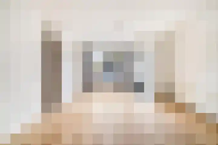 Hoge Morsweg 122 Leiden thumbnail 14
