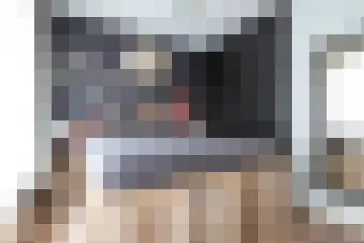 Hoge Morsweg 122 Leiden thumbnail 20