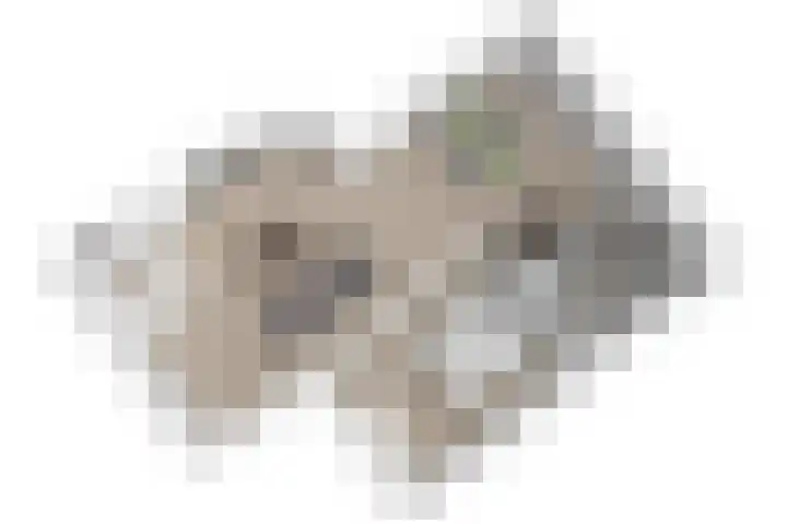 Hoge Morsweg 122 Leiden thumbnail 24