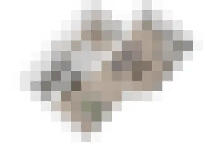 Hoge Morsweg 122 Leiden thumbnail 26