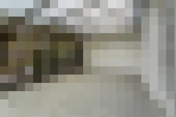 Hoge Morsweg 138 S Leiden thumbnail 10