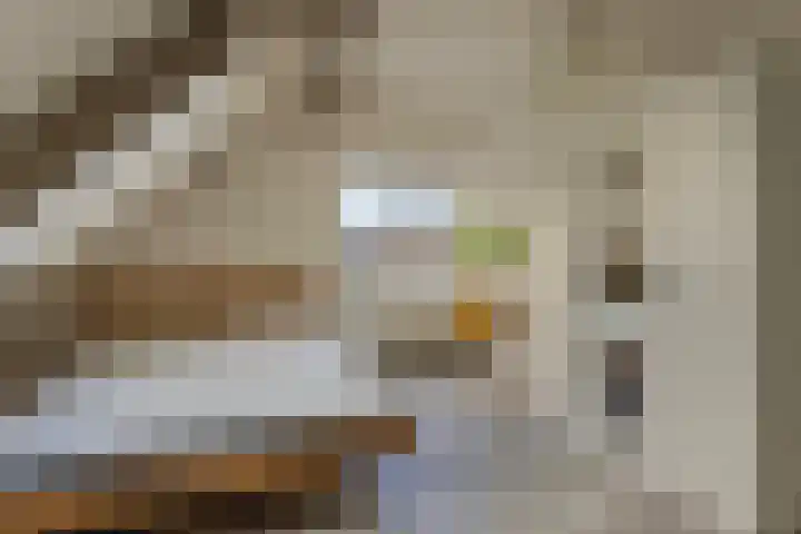 Hoge Morsweg 138 S Leiden thumbnail 13