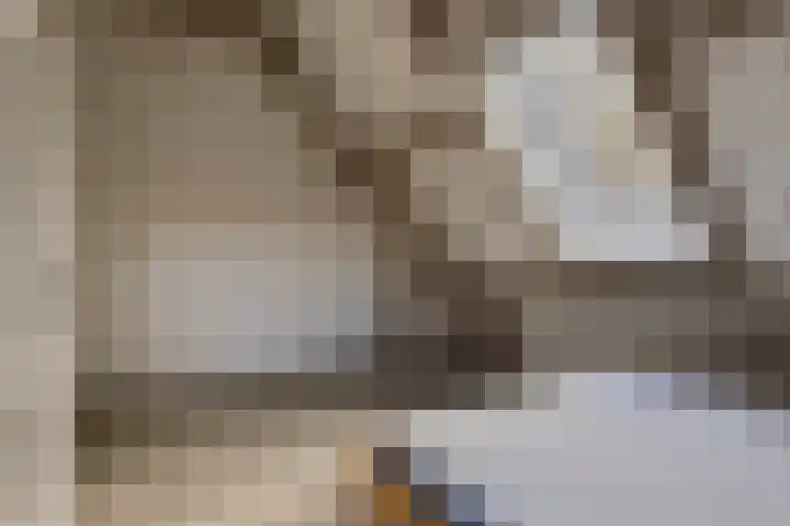 Hoge Morsweg 138 S Leiden thumbnail 14