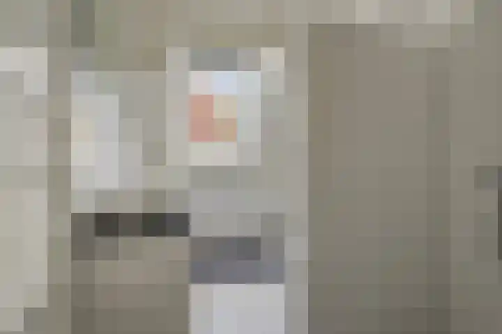 Hoge Morsweg 138 S Leiden thumbnail 15