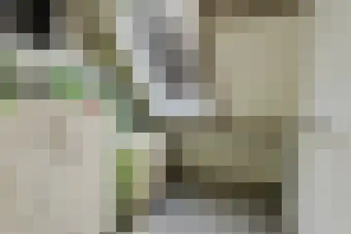 Hoge Morsweg 138 S Leiden thumbnail 17
