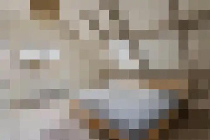 Hoge Morsweg 138 S Leiden thumbnail 18