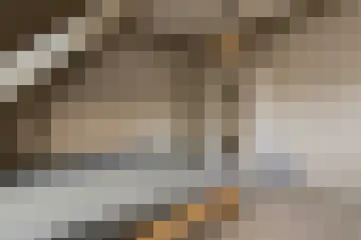 Hoge Morsweg 138 S Leiden thumbnail 19