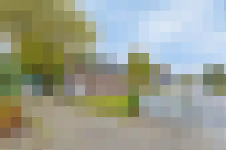 Hoge Morsweg 138 S Leiden thumbnail 20