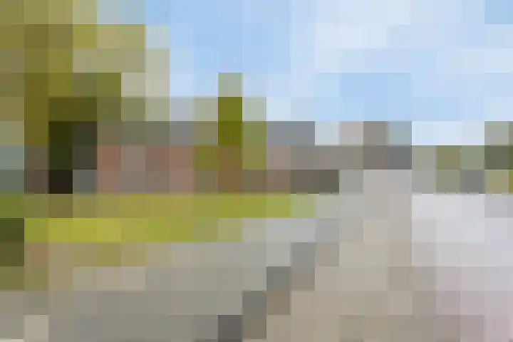 Hoge Morsweg 138 S Leiden thumbnail 21