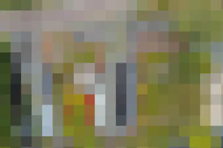 Hoge Morsweg 138 S Leiden thumbnail 25