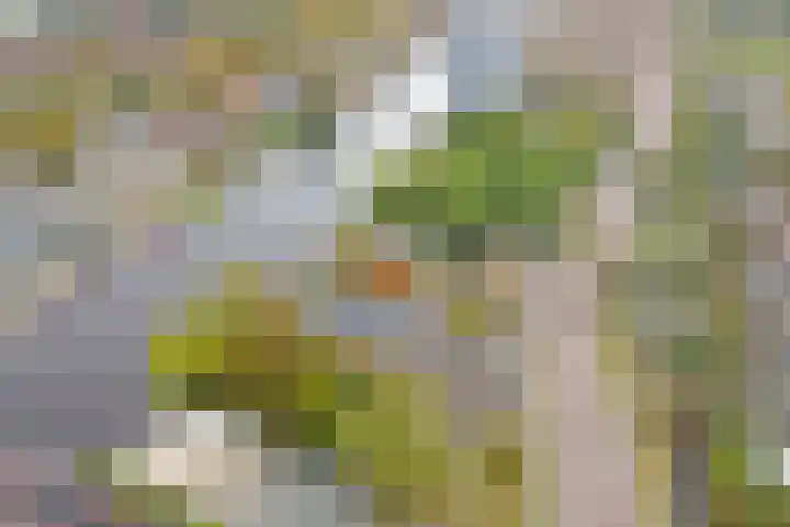 Hoge Morsweg 138 S Leiden thumbnail 26