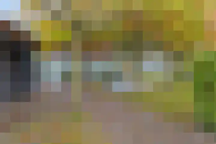 Hoge Morsweg 138 S Leiden thumbnail 27