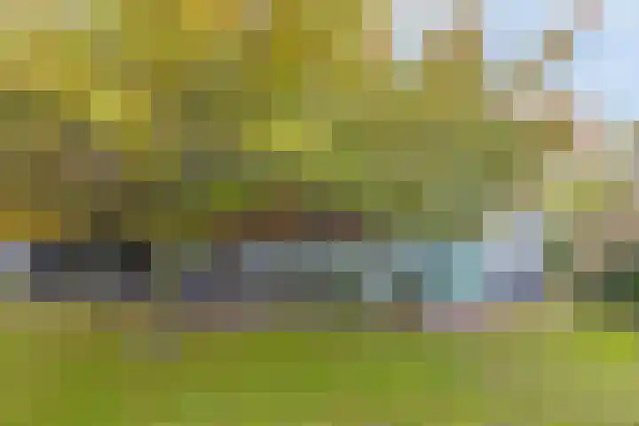 Hoge Morsweg 138 S Leiden thumbnail 28