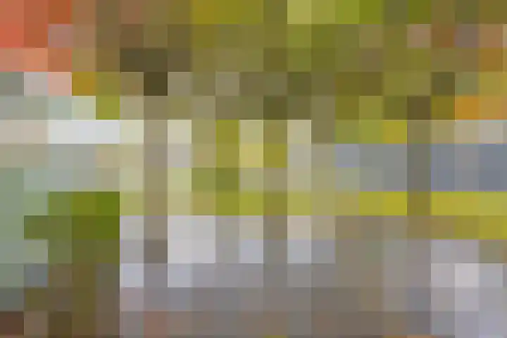 Hoge Morsweg 138 S Leiden thumbnail 29