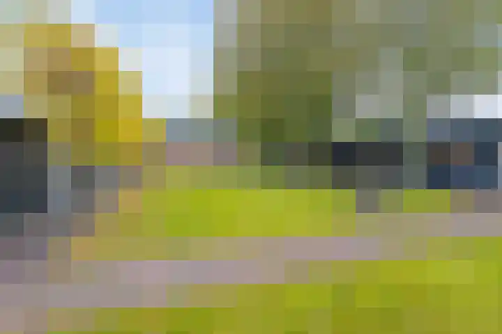 Hoge Morsweg 138 S Leiden thumbnail 31