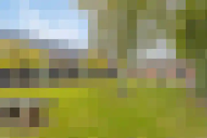 Hoge Morsweg 138 S Leiden thumbnail 32