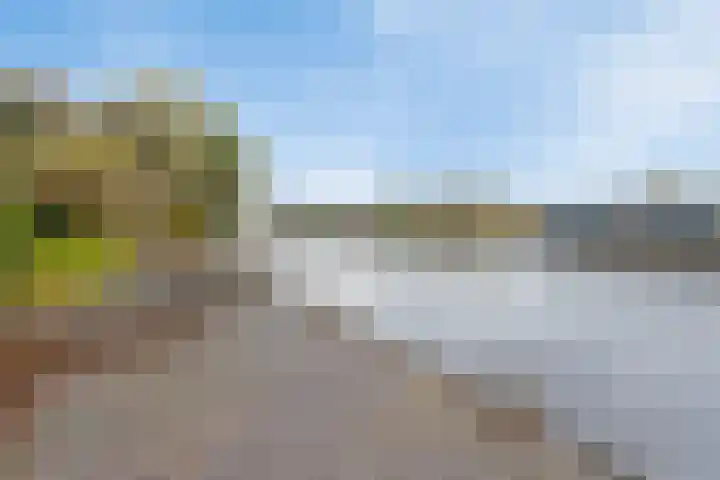 Hoge Morsweg 138 S Leiden thumbnail 35
