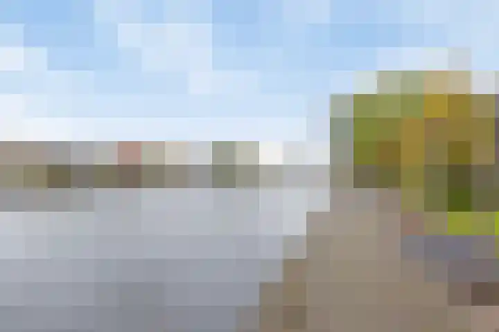 Hoge Morsweg 138 S Leiden thumbnail 36