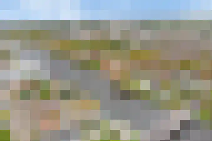 Hoge Morsweg 138 S Leiden thumbnail 37