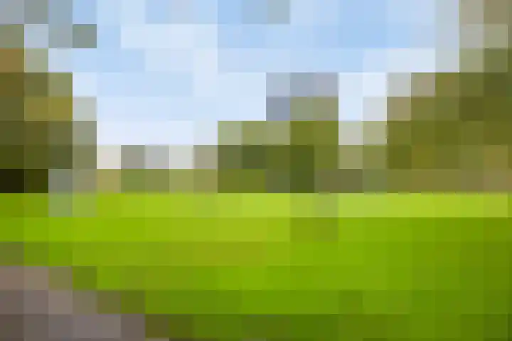 Hoge Morsweg 138 S Leiden thumbnail 39