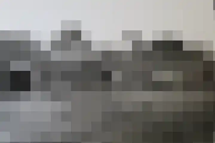 Hoge Morsweg 138 S Leiden thumbnail 41